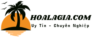 hoalagia.com