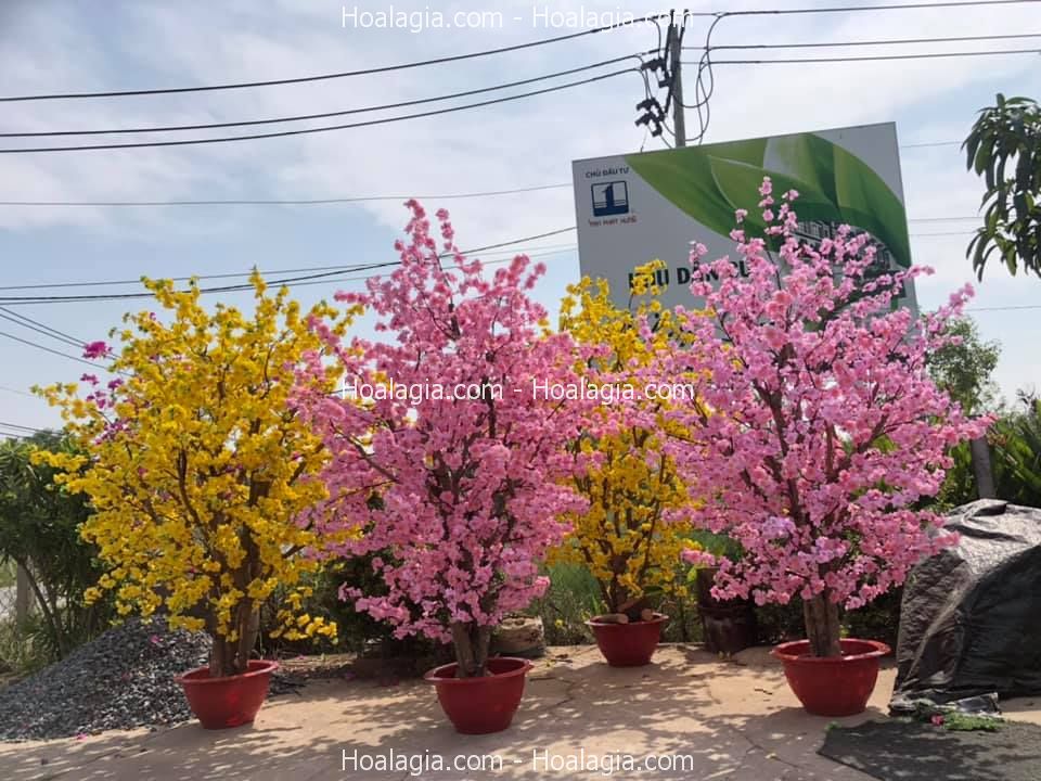 cây hoa anh đào giả cao 2m5 cây hoa anh đào giả cao 2m5