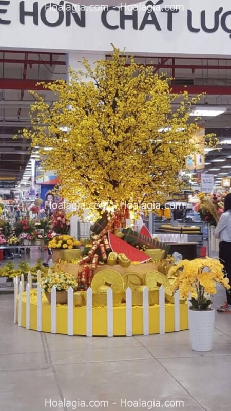 cây mai vàng giả vũng tàu