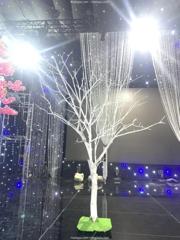 cây sơn trắng giả hcm
