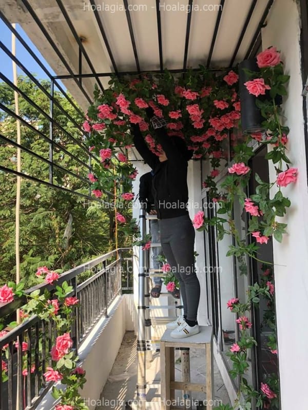 dây hoa hồng leo giả hà nội