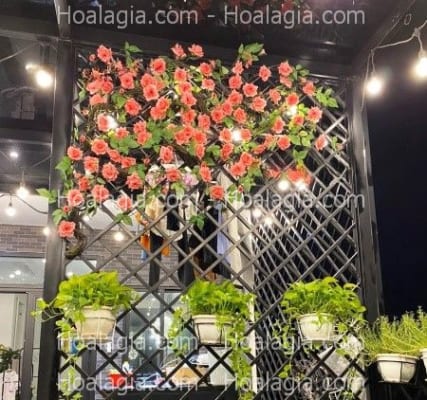decor hoa hồng giả tại nha trang