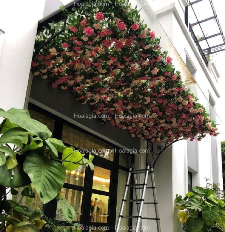 decor hoa hồng leo giả