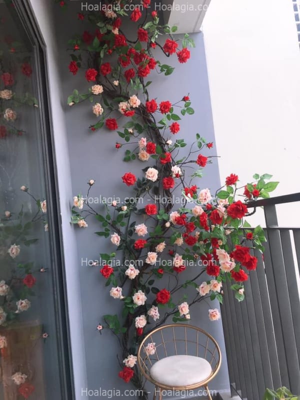 hoa hồng leo giả nha trang hoa hồng leo giả nha trang