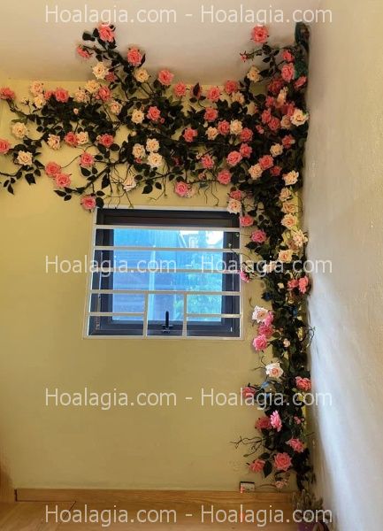 hoa hồng leo giả nha trang hoa hồng leo giả nha trang