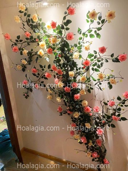 hoa hồng leo giả nha trang hoa hồng leo giả nha trang