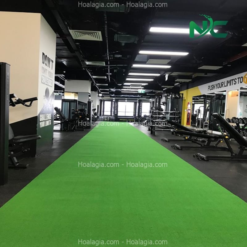 thảm cỏ giả giá rẻ nha trang