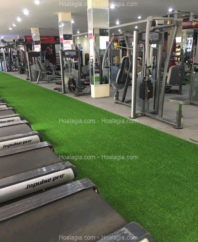 thảm cỏ giả giá rẻ nha trang