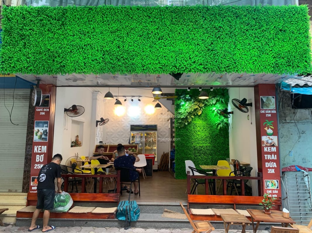 tường cây nhựa giả Nha Trang