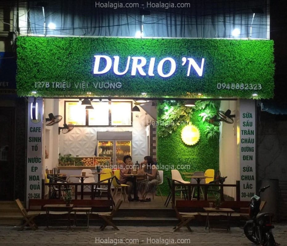 tường cây nhựa giả