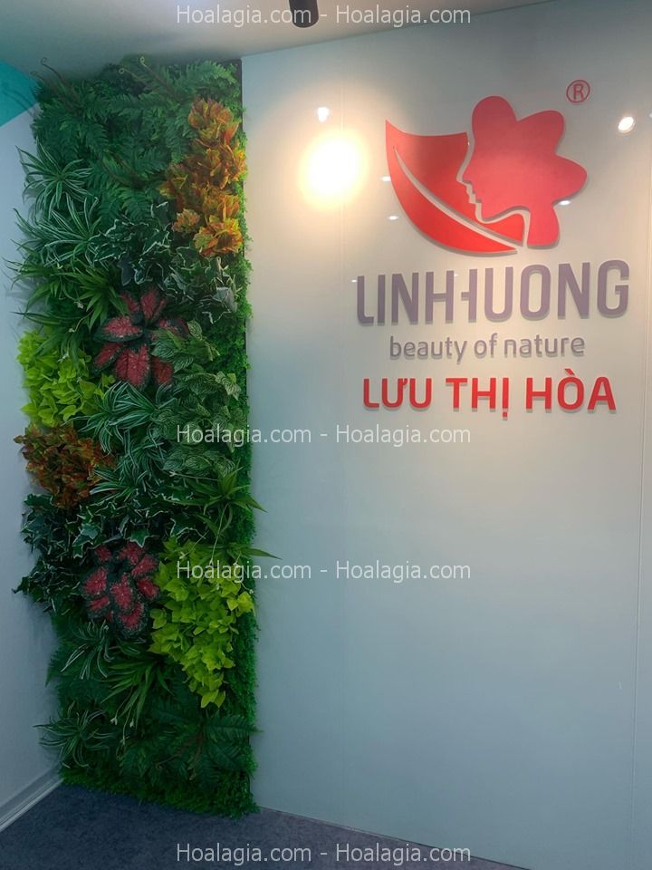 tuong-cay-nhua-quan-1-1