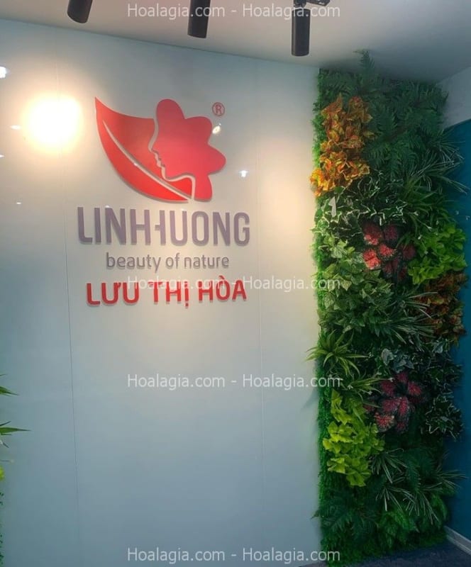 tường cây nhựa quận 1 tường cây nhựa quận 1
