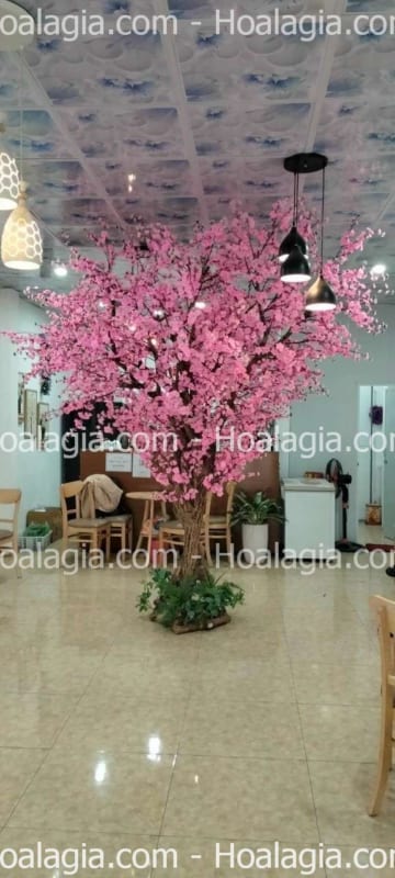 bán cây hoa anh đào giả