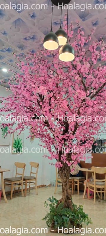 bán cây hoa anh đào giả
