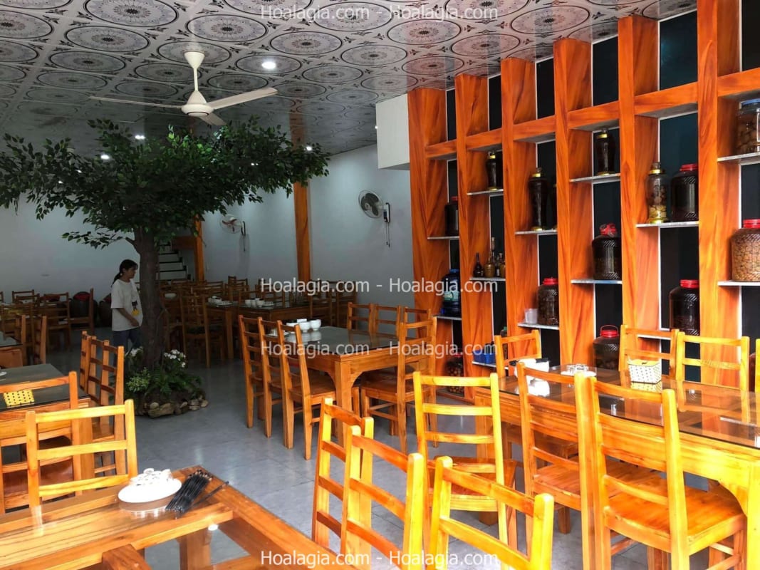 cây cổ thụ giả để góc tường