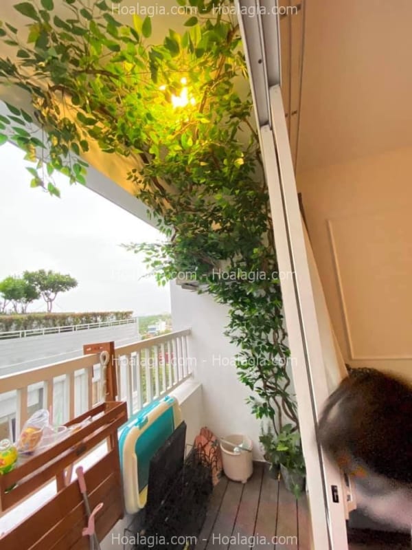 cây giả trang trí ban công 