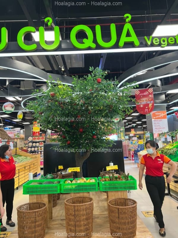 cây giả trang trí siêu thị