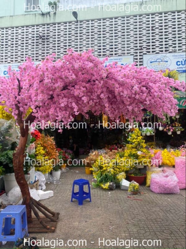 cây hoa anh đào giả tán lệch giá rẻ