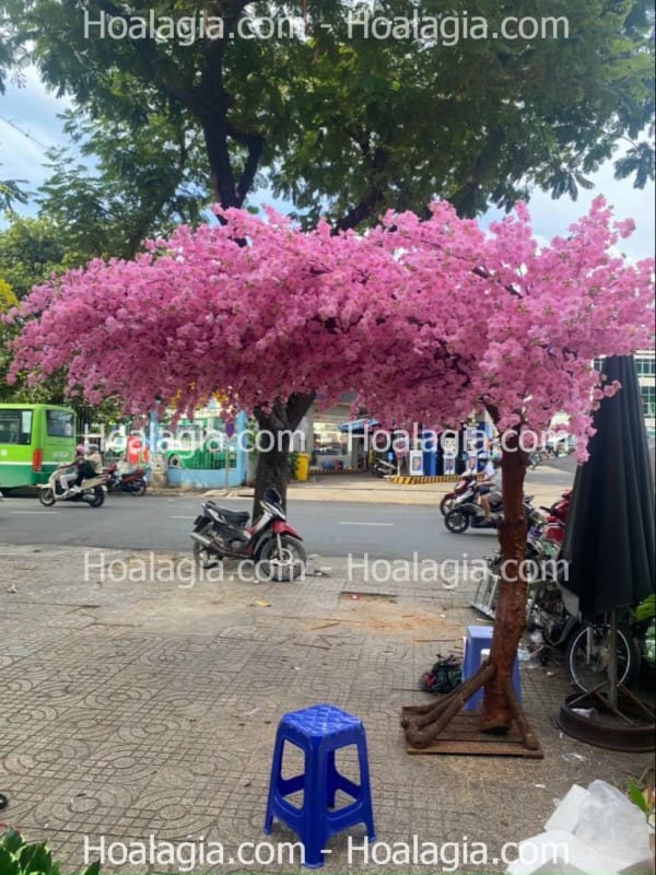 cây hoa anh đào giả tán lệch giá rẻ