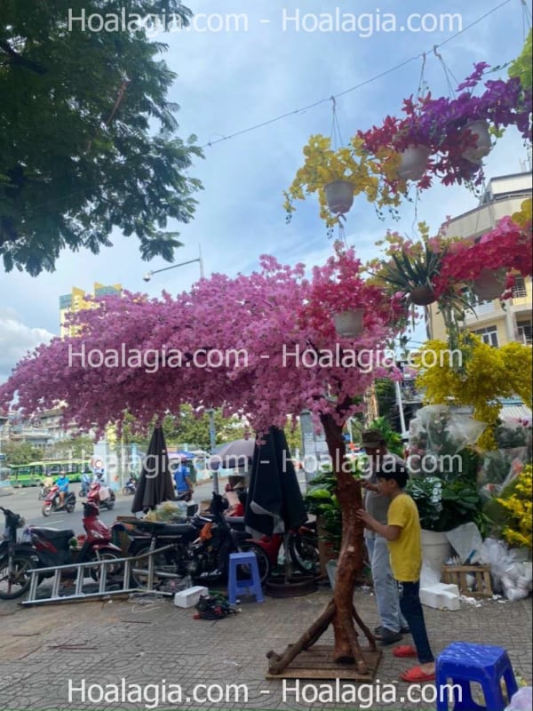 cây hoa anh đào giả tán lệch giá rẻ