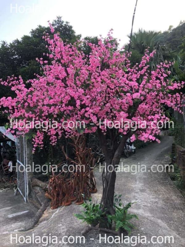 cây hoa anh đào giả trưng tết cây hoa anh đào giả trưng tết