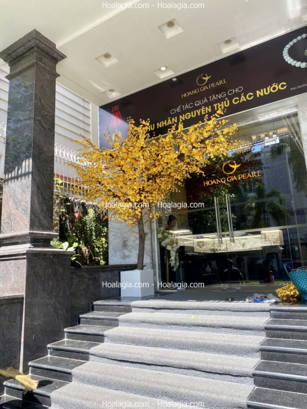cây hoa mai giả cao 2m5 tán 2m5