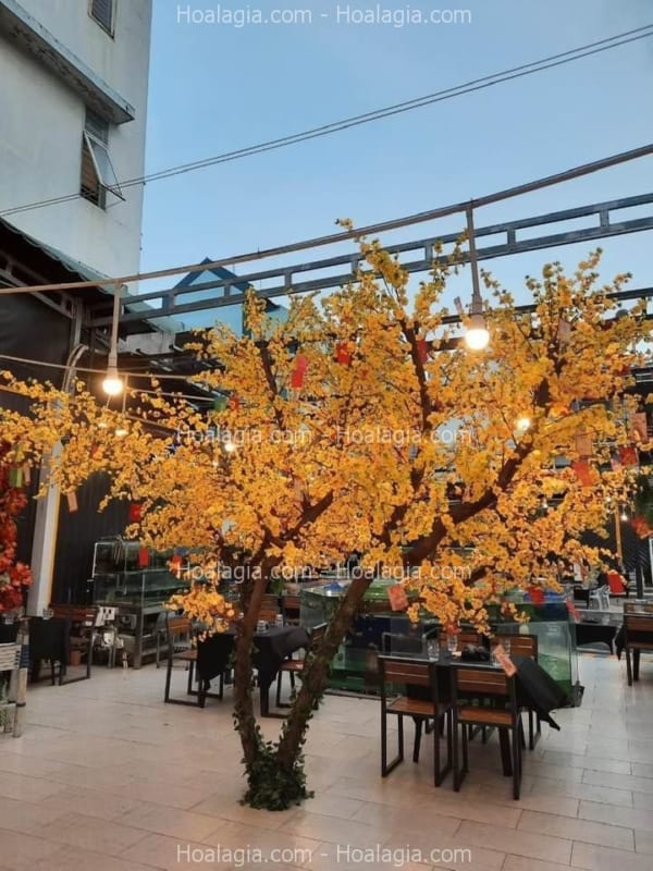 cây mai giả decor