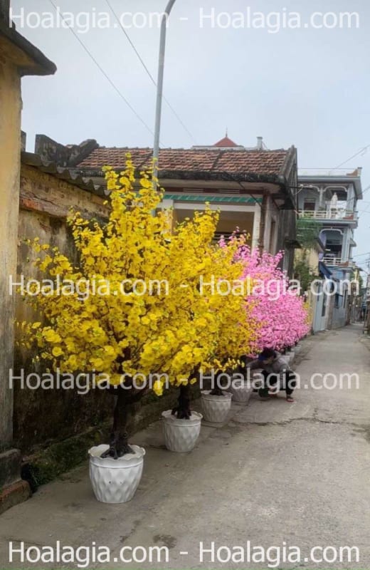 cây hoa mai giả giá rẻ hcm cây hoa mai giả giá rẻ hcm