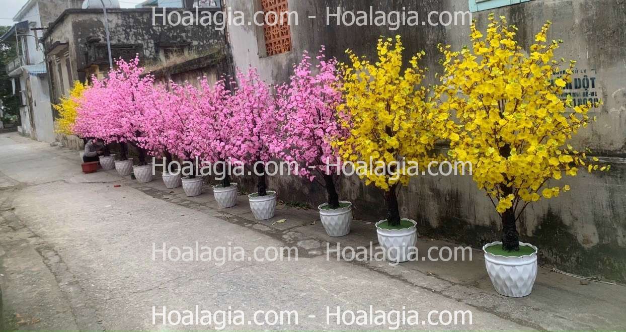 cây hoa mai giả giá rẻ hcm cây hoa mai giả giá rẻ hcm