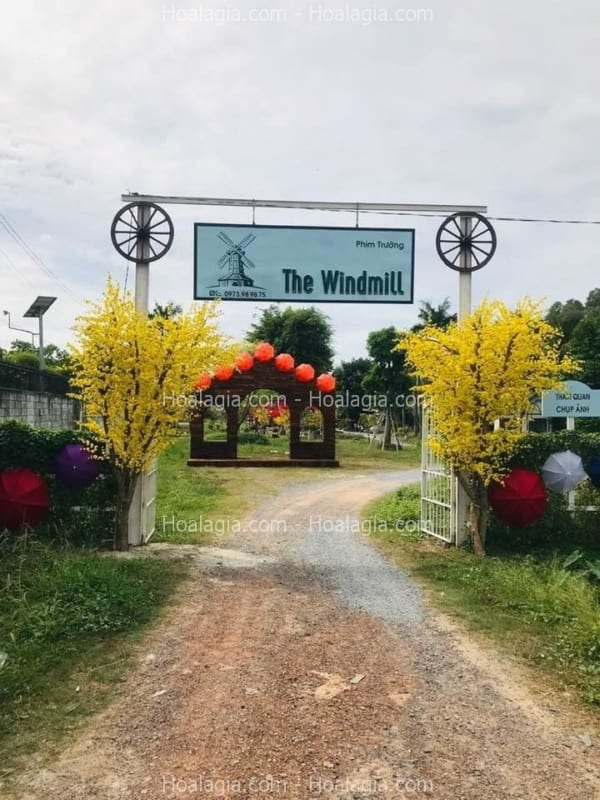 cây hoa mai vàng giả