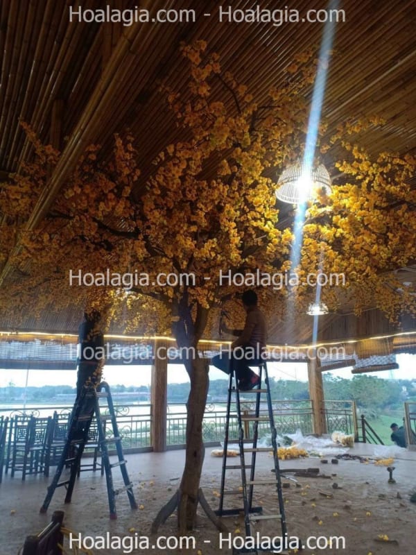cây hoa mai vàng giả