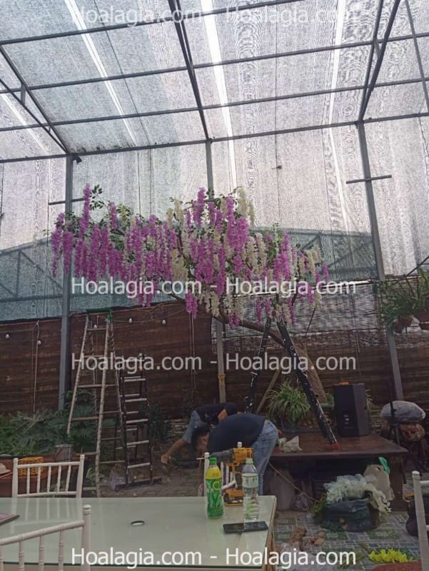 cây hoa tử đằng giả tại hà nội