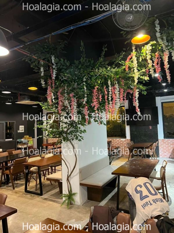 cây hoa tử đằng leo giả