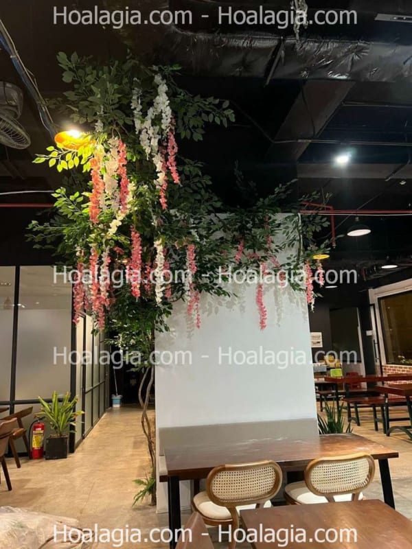 cây hoa tử đằng leo giả