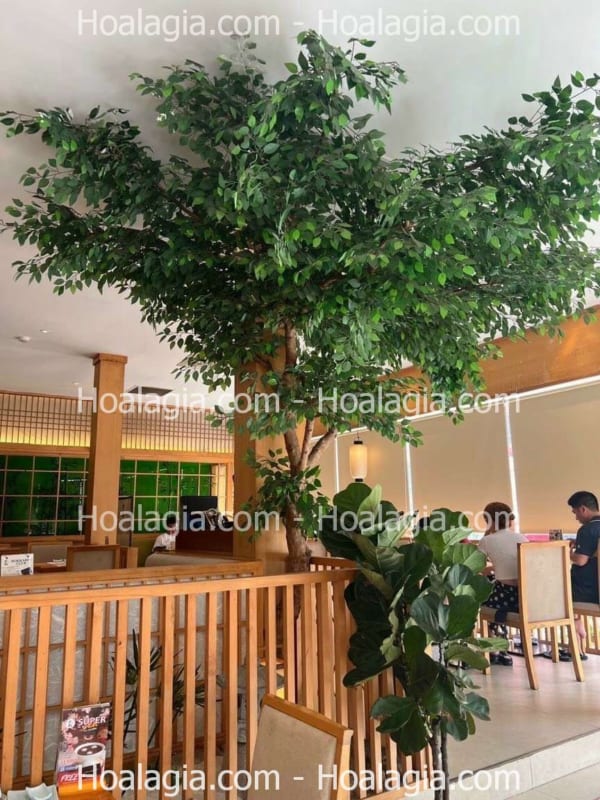 cây lá xanh giả cao 4m5