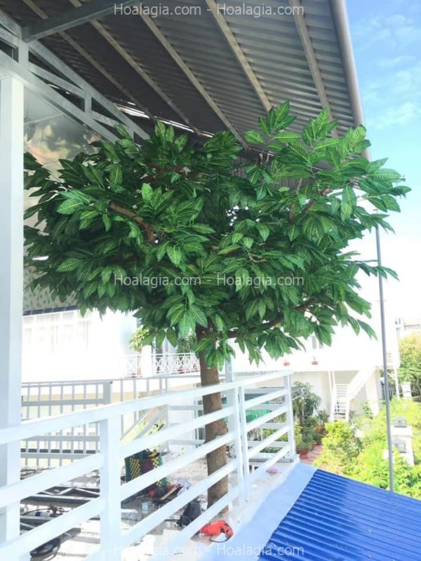 cây lá xanh giả trang trí ban công
