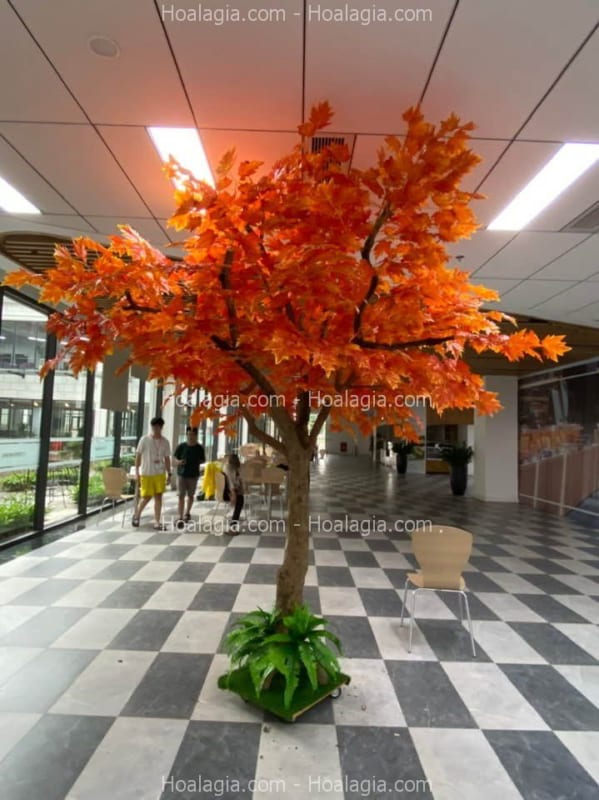 cây phong giả cao 2m7