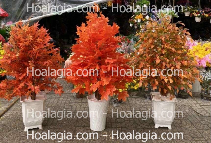 cây phong lá đỏ giả cao 1m5 cây phong lá đỏ giả cao 1m5