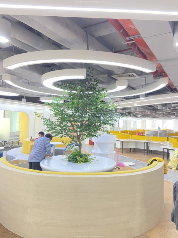 cây si giả cao 2m