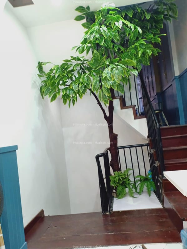 cây si giả trang trí cầu thang