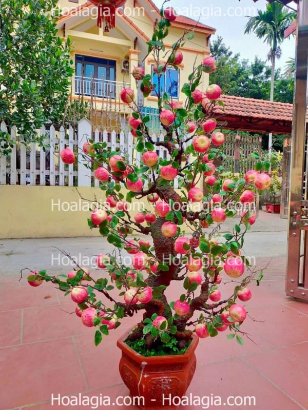 cây táo giả cao 1m5