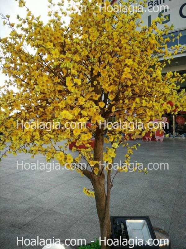 cho thuê cây giả ngày tết
