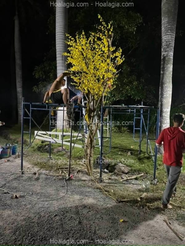 thi công cây hoa mai vàng giả sự kiện