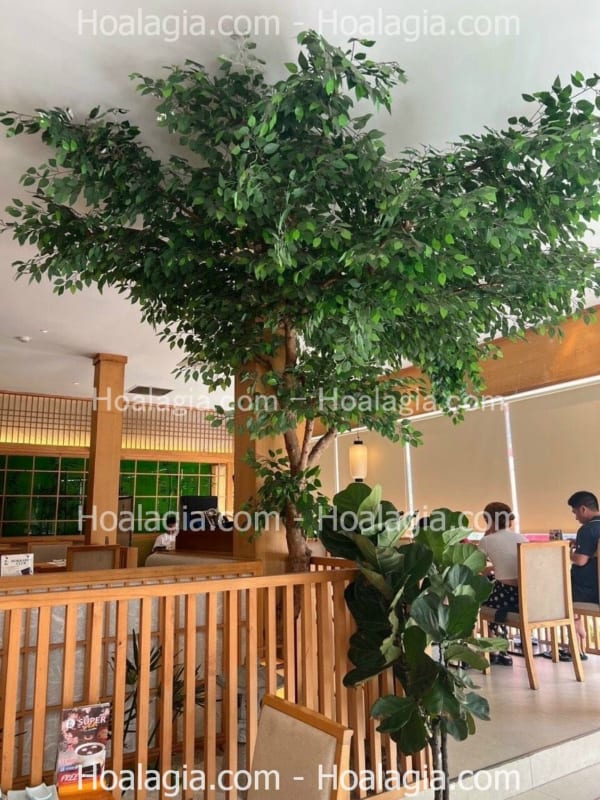 cây cổ thụ lá xanh giả 4m