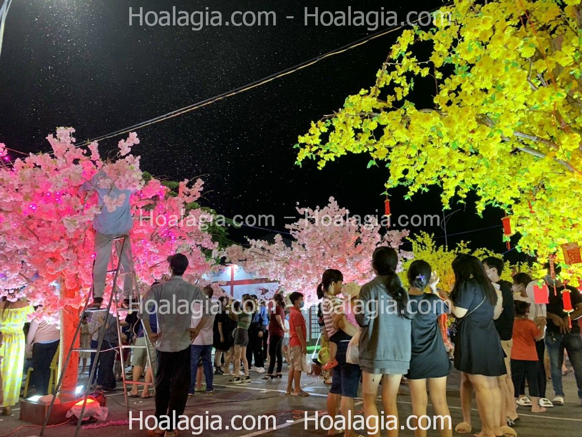 cay-hoa-anh-dao-gia-trang-tri-ngoai-troi-2