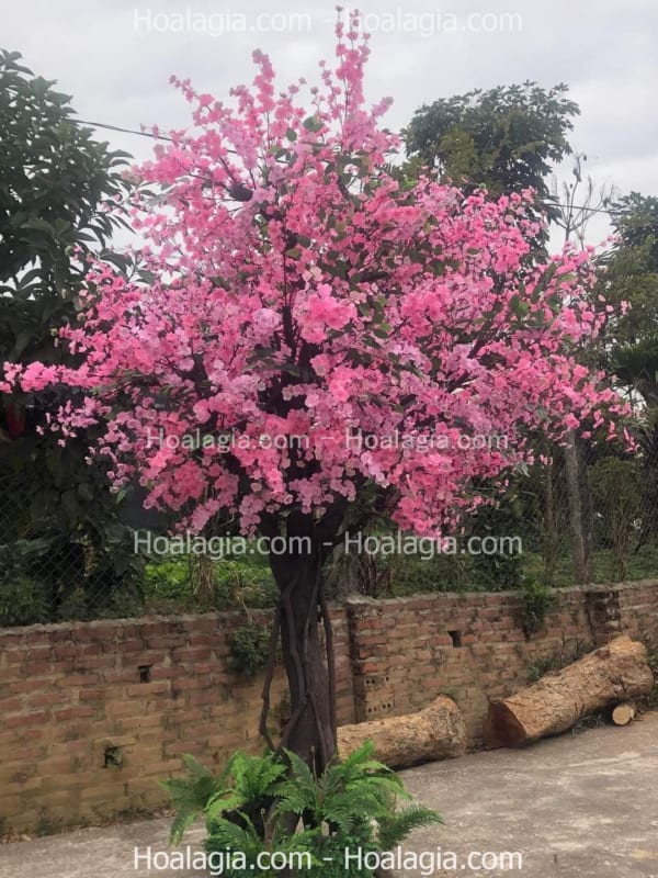 cây hoa anh đào giả trang trí ngoài trời cây hoa anh đào giả trang trí ngoài trời