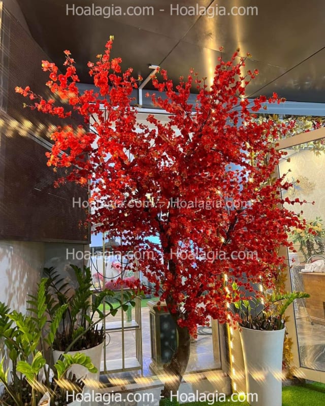 cây hoa đào đỏ giả giá rẻcây hoa đào đỏ giả giá rẻ