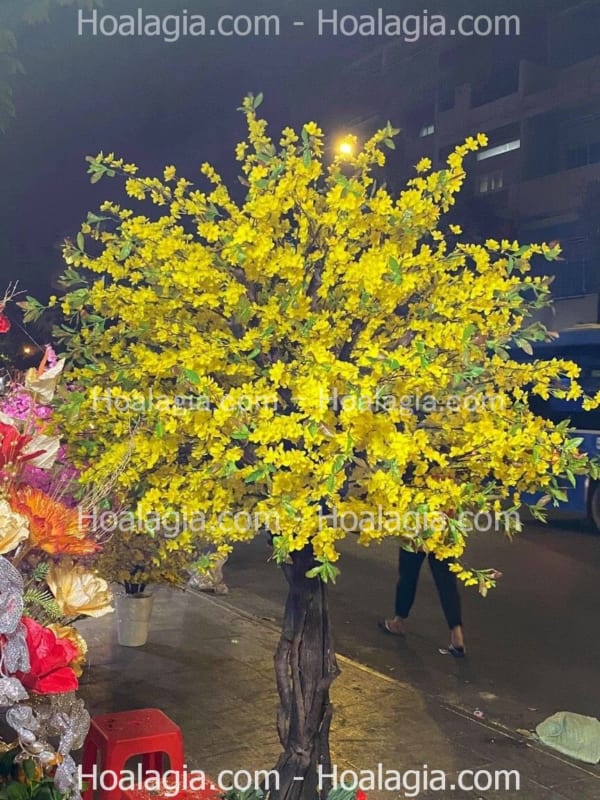 cây hoa mai giả 2m4