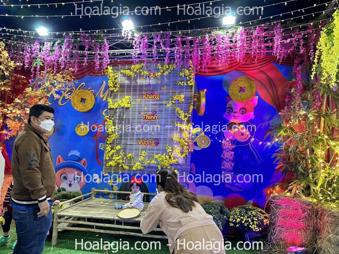 cho-thue-cay-hoa-mai-gia-su-kien-1