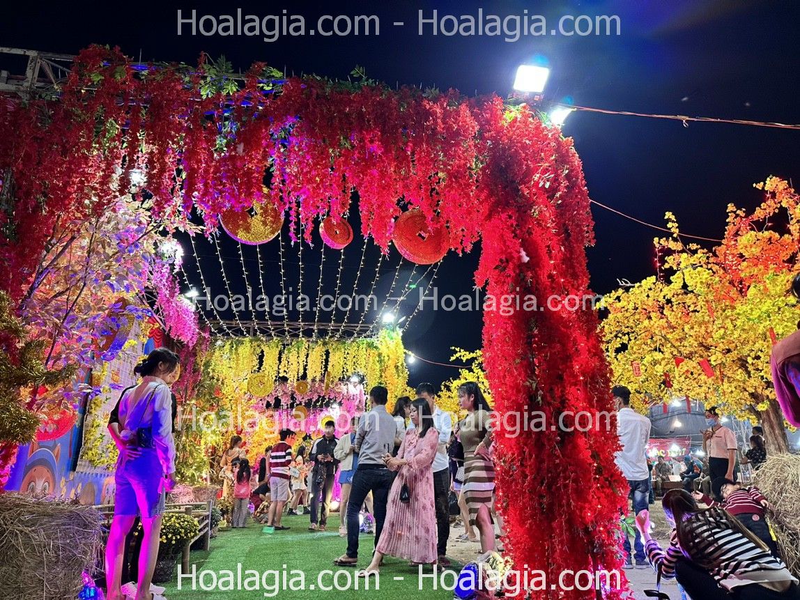 cho-thue-cay-hoa-mai-gia-su-kien-2